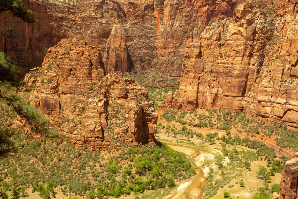 Observation Point Hike