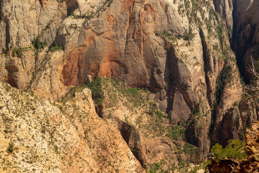 Observation Point Hike Zion 