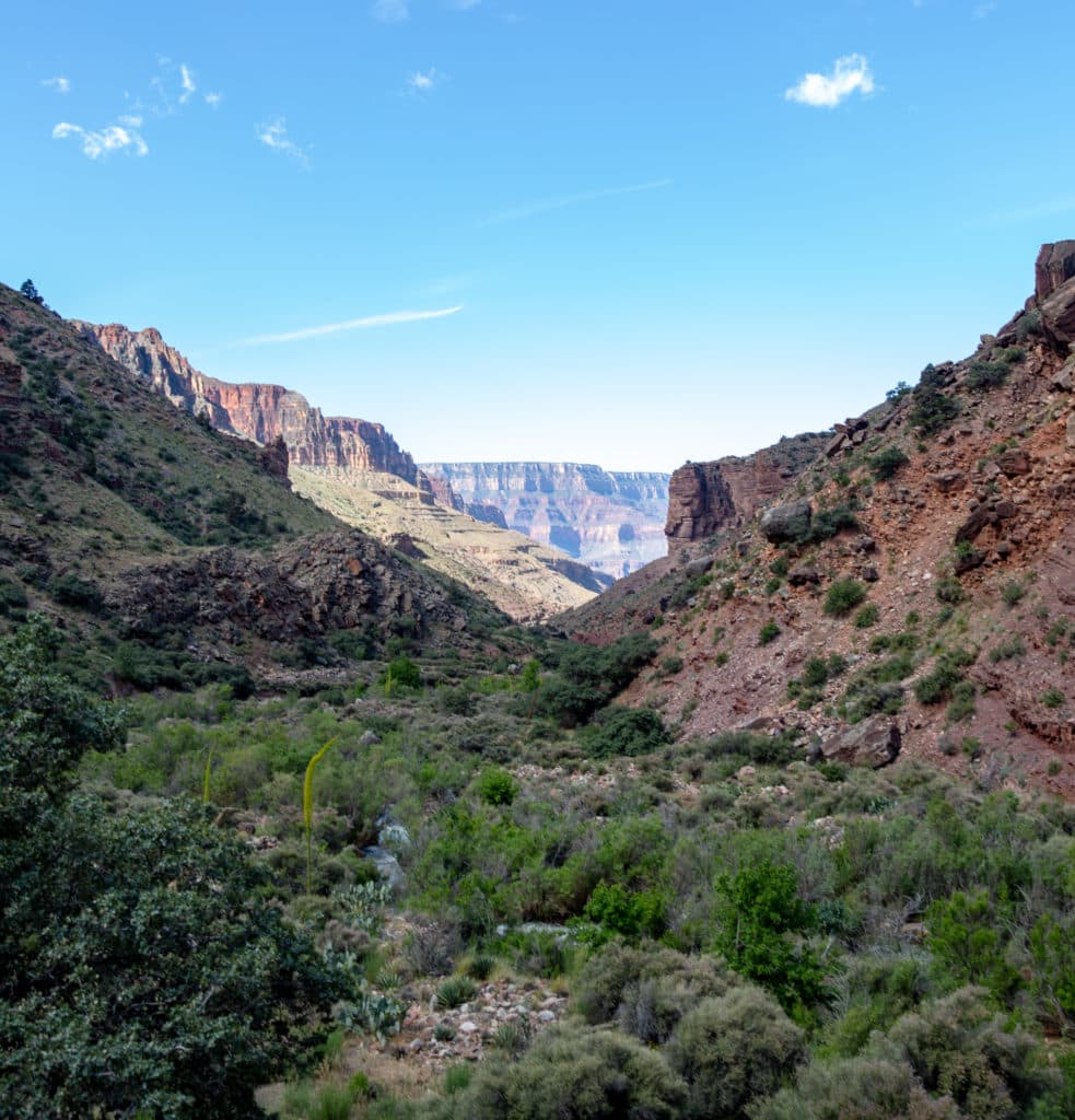 grand canyon north kaibab trail road trips from las vegas to national parks