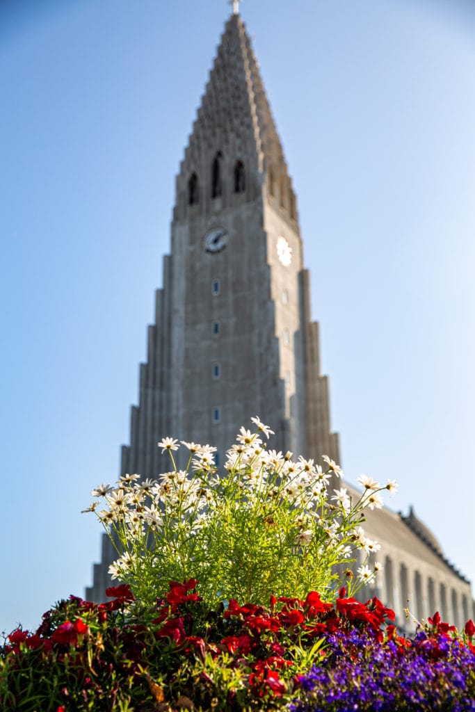 a church in downtown reykjavik with flowers in the foreground