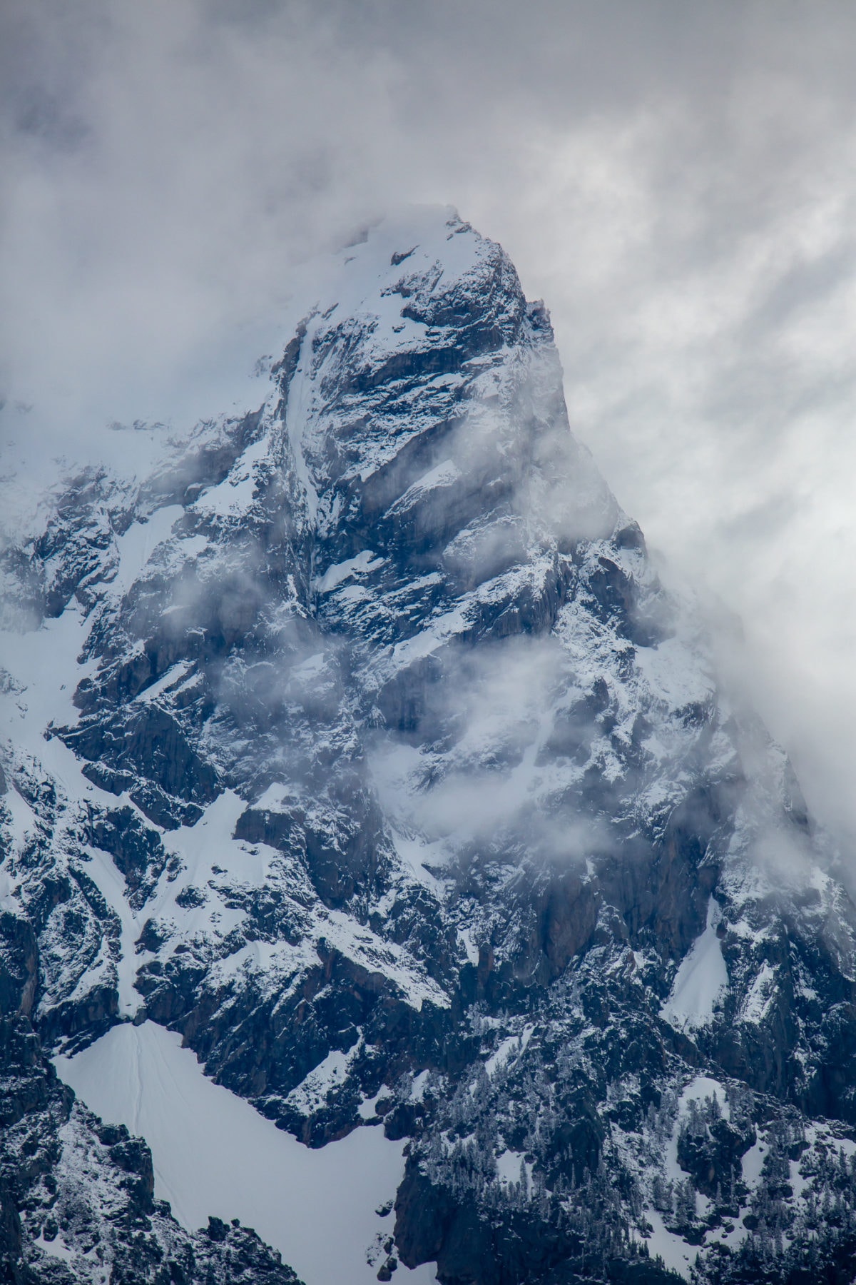 Grand Teton National Park Wildlife Tamron 150-600 lens