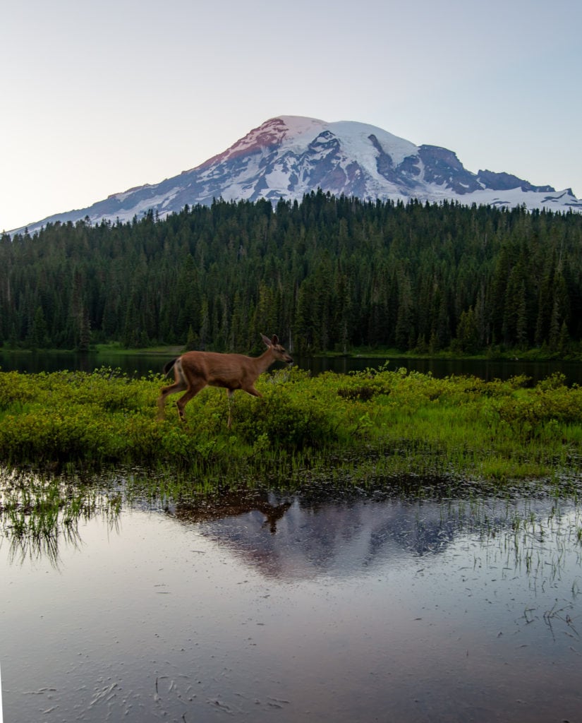 Reflection Lake Mt. Rainier Photography visit must see Washington PNW