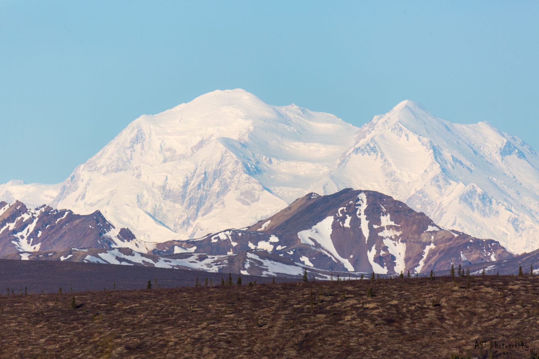 denali national park camping