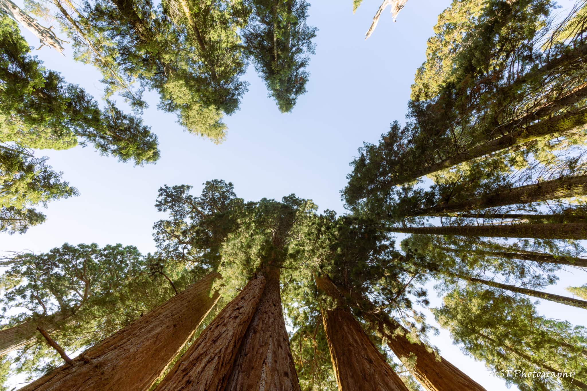 Sequoia National Park Visitor Guide Everything You Need To Know