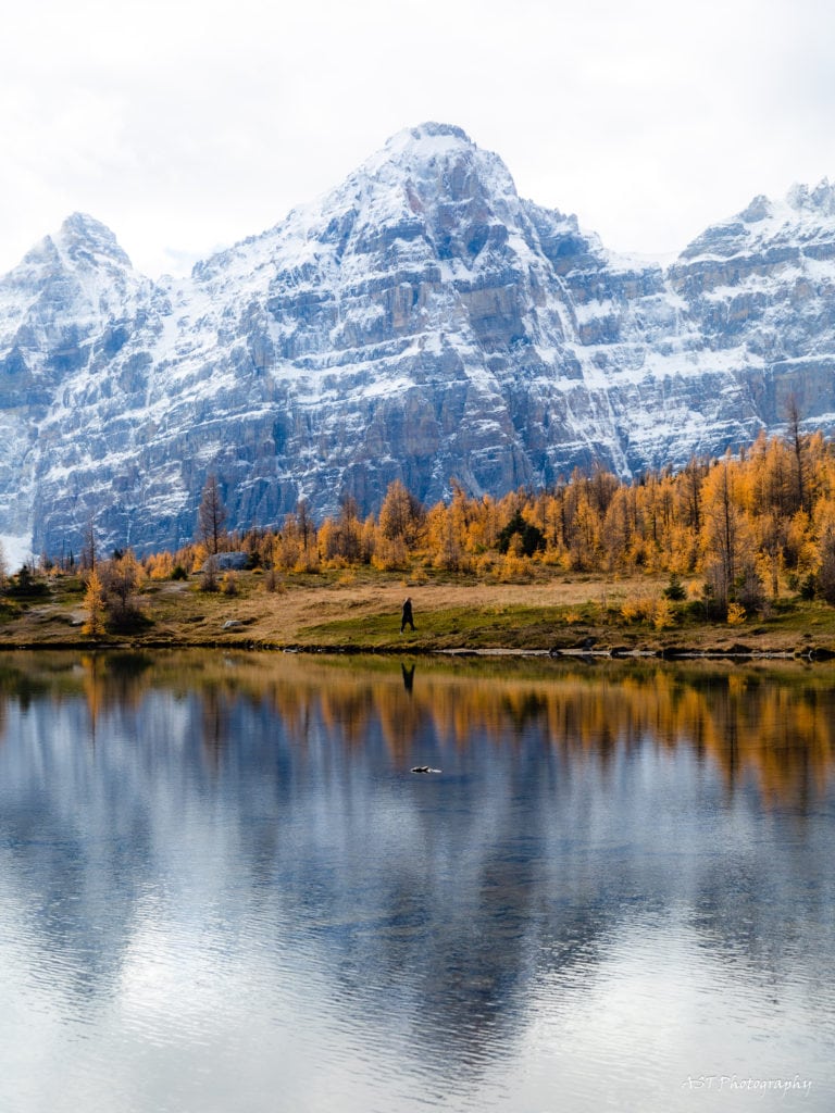 Banff National Park Larch valley Canadian Rockies