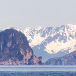 Is Alaska’s Kenai Fjords Wildlife Cruise worth it?