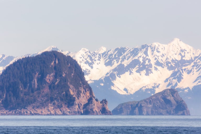 sea stacks in the kenai fjords with snowy peaks behind it
