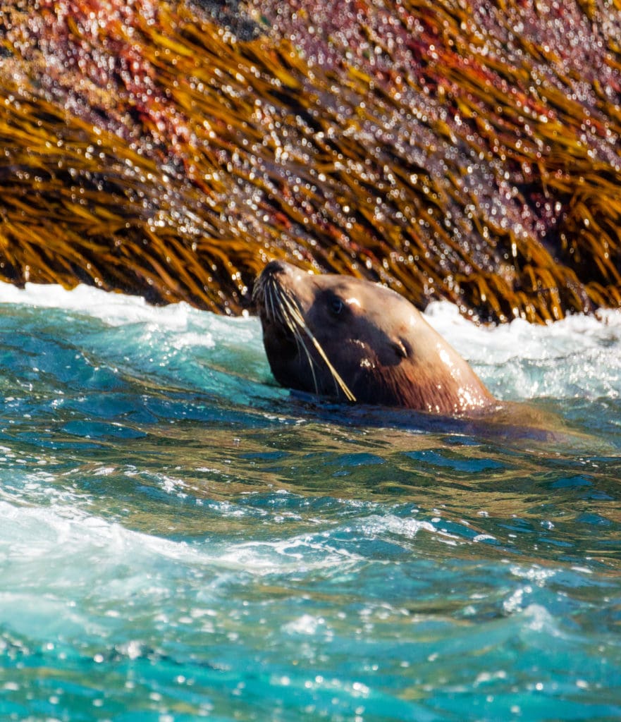 things to do in kenai fjords national park