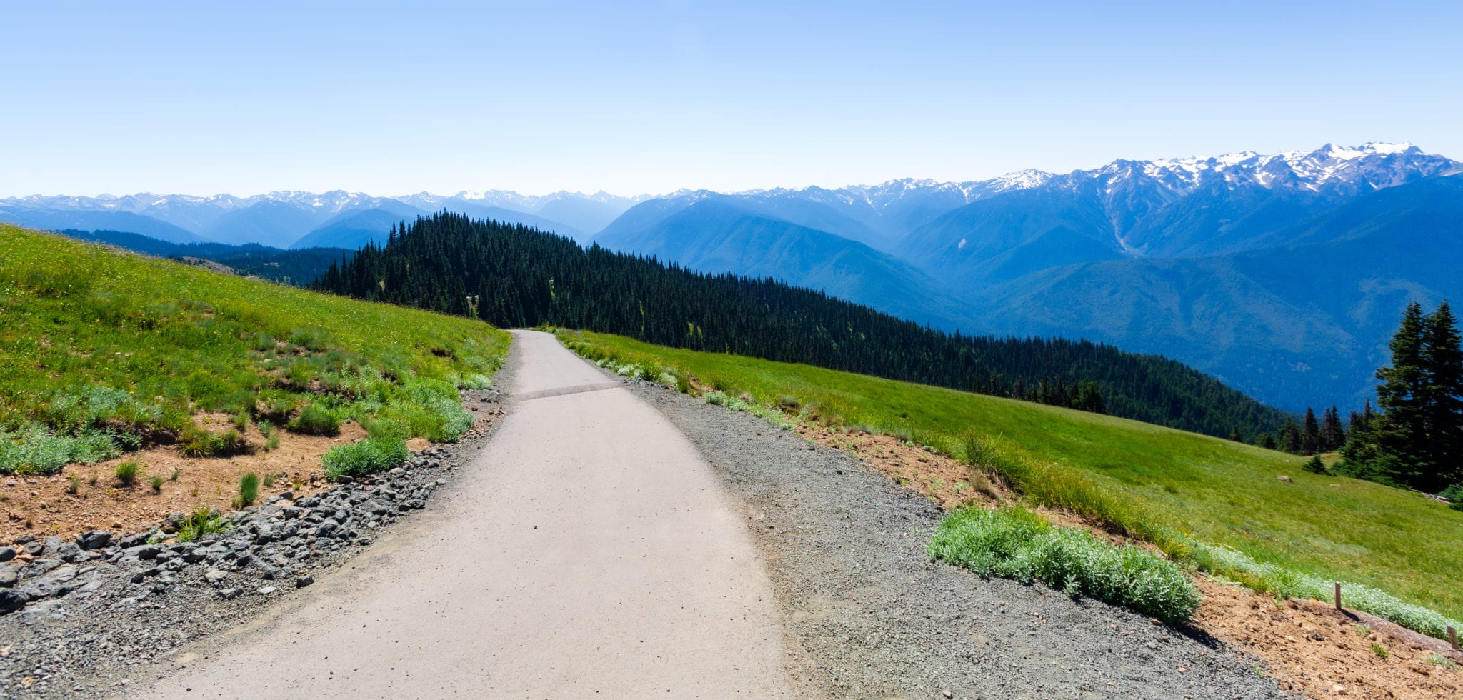 High Ridge Hurricane Ridge The best Hurricane Ridge hike in Olympic National Park