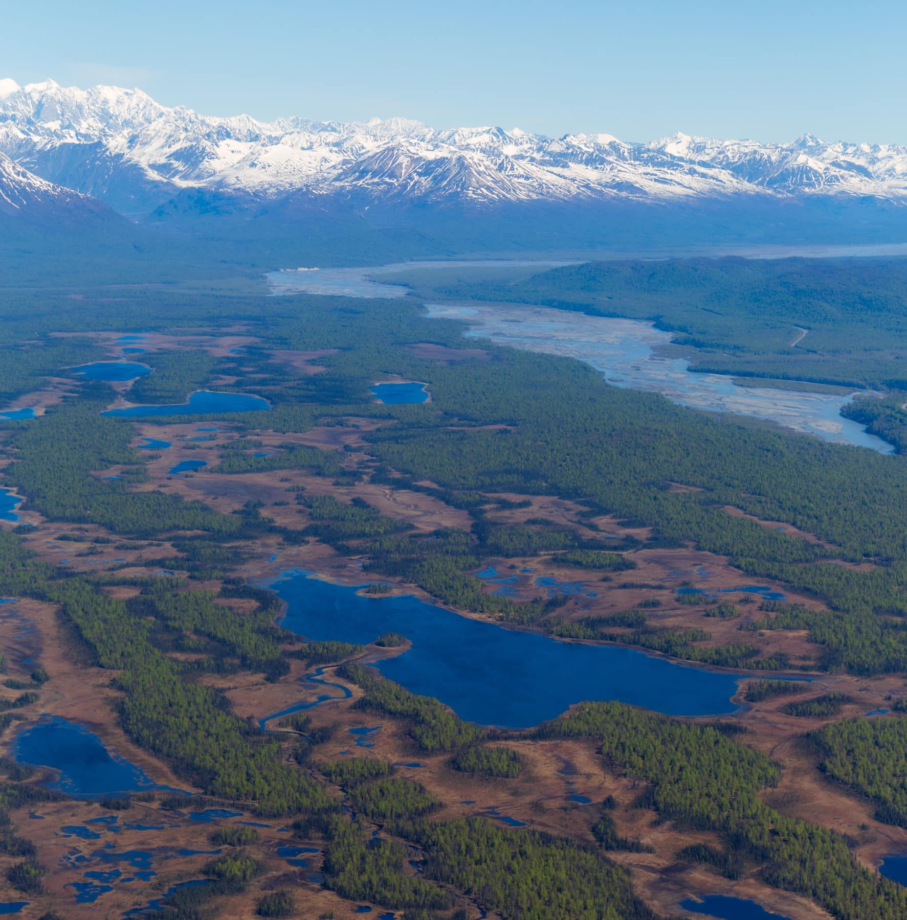 Denali flightseeing tour