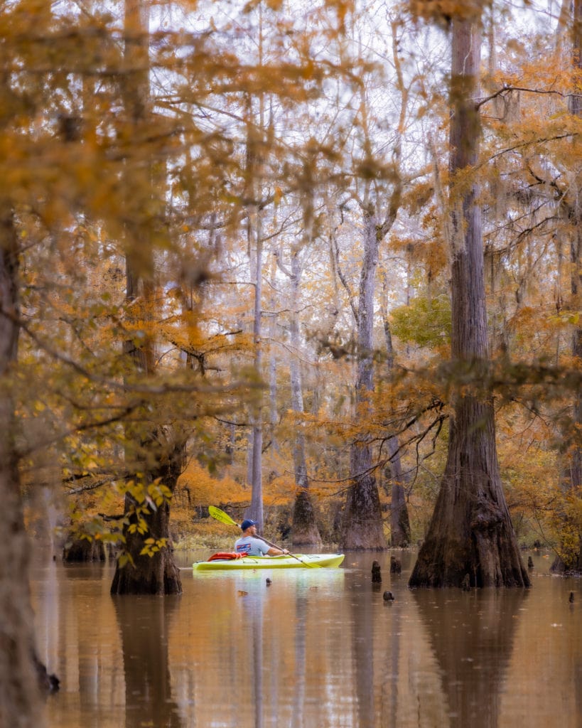 texas paddling trail what to do in east texas Big Thicket National Preserve