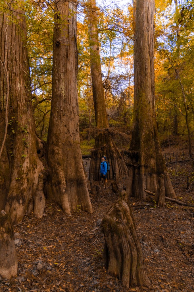 places to see in east texas Big Thicket National Preserve vacation destinations in Texas