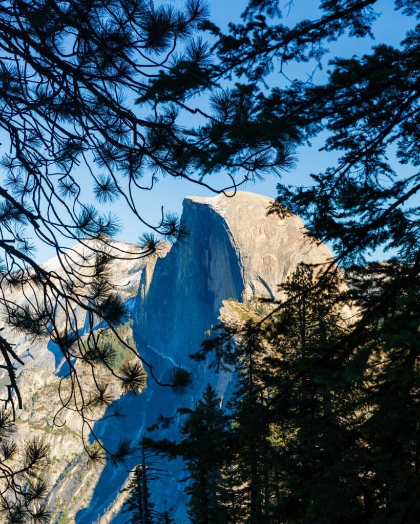 half dome viewed through trees and branches on the four mile trail, one of the best hikes in yosemite national park