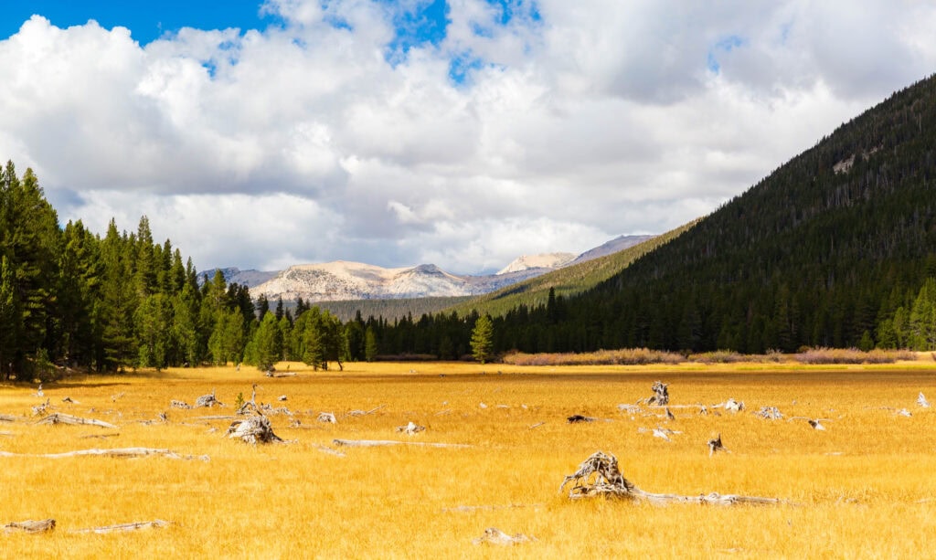 the wide open lyell canyon in yosemite national park