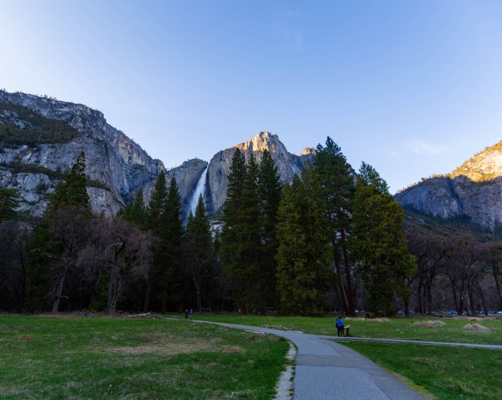 a path through the meadow in yosemite valley