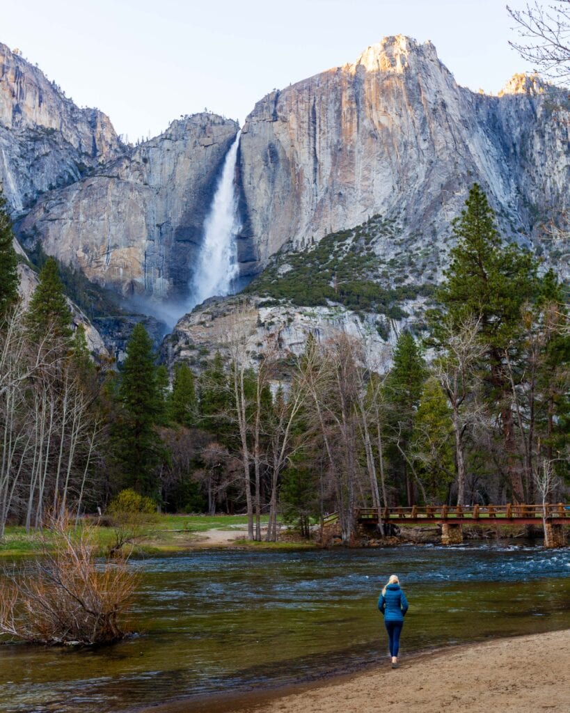a hiker stands near the merced river looking up at yosemite falls
