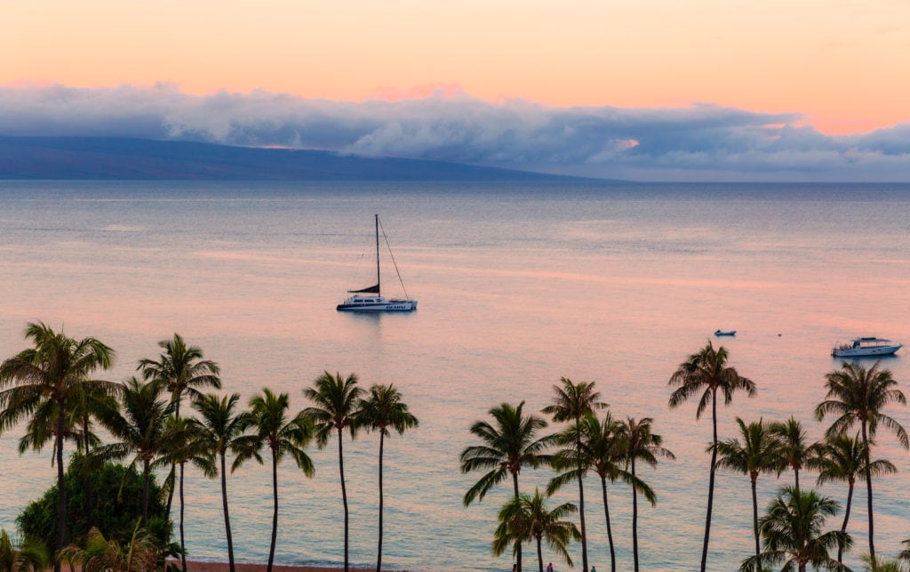 maui westin resort and spa