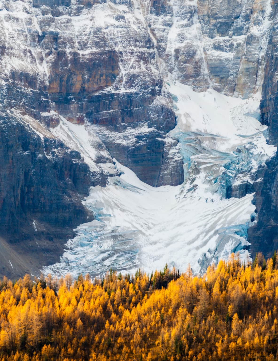 Hiking Guide to Larch Valley and Sentinel Pass in Banff National Park