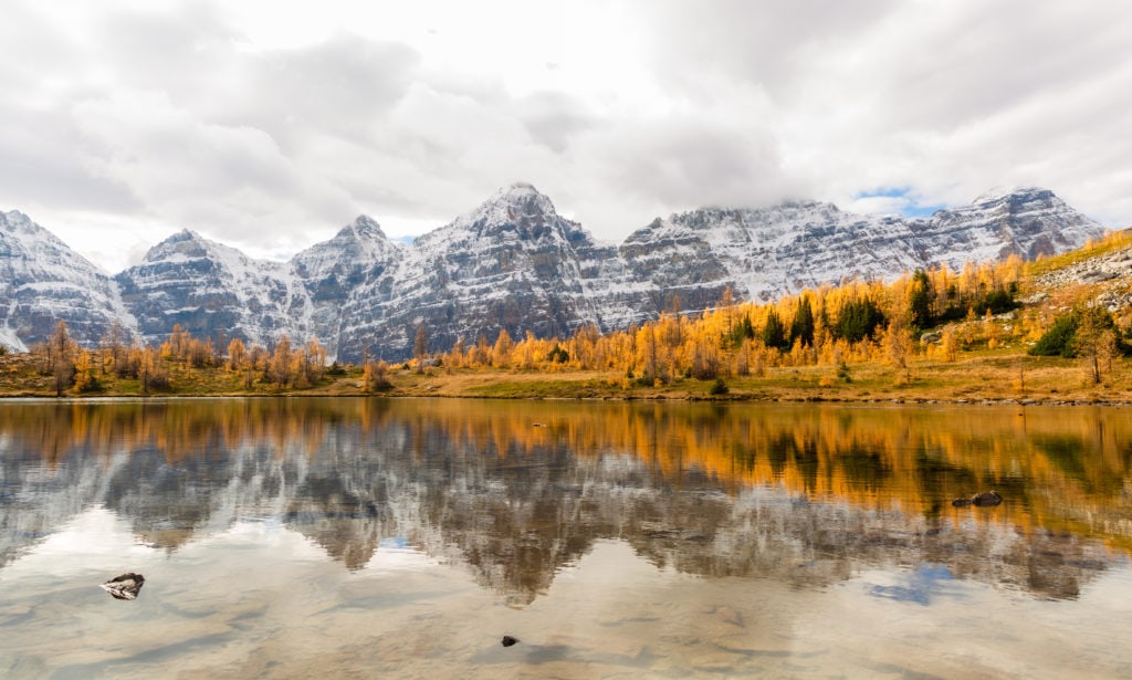 larch valley reflections during fall colors in banff national park 