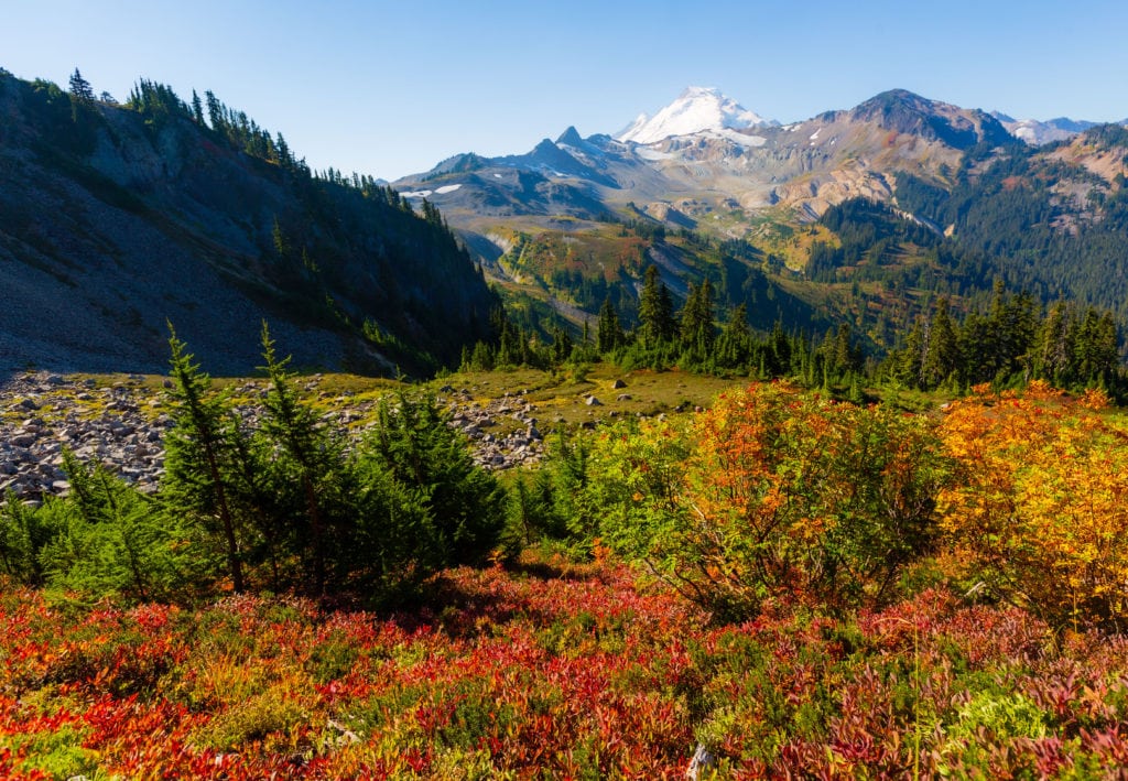 A view of Mt. Baker from the Chain Lakes Loop Trail. This is area is perfect for North Cascades backpacking opportunities. 