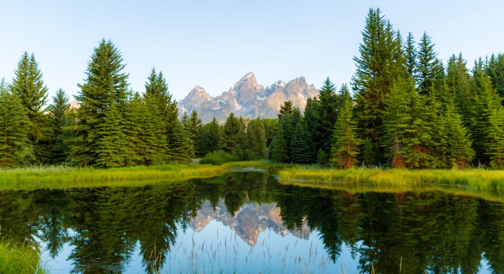 A perfect reflection photo in Grand Teton National park