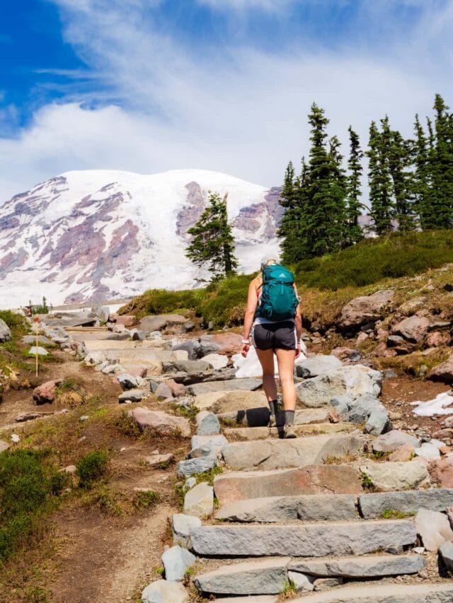 Is mt rainier worth visiting 6S7A0041