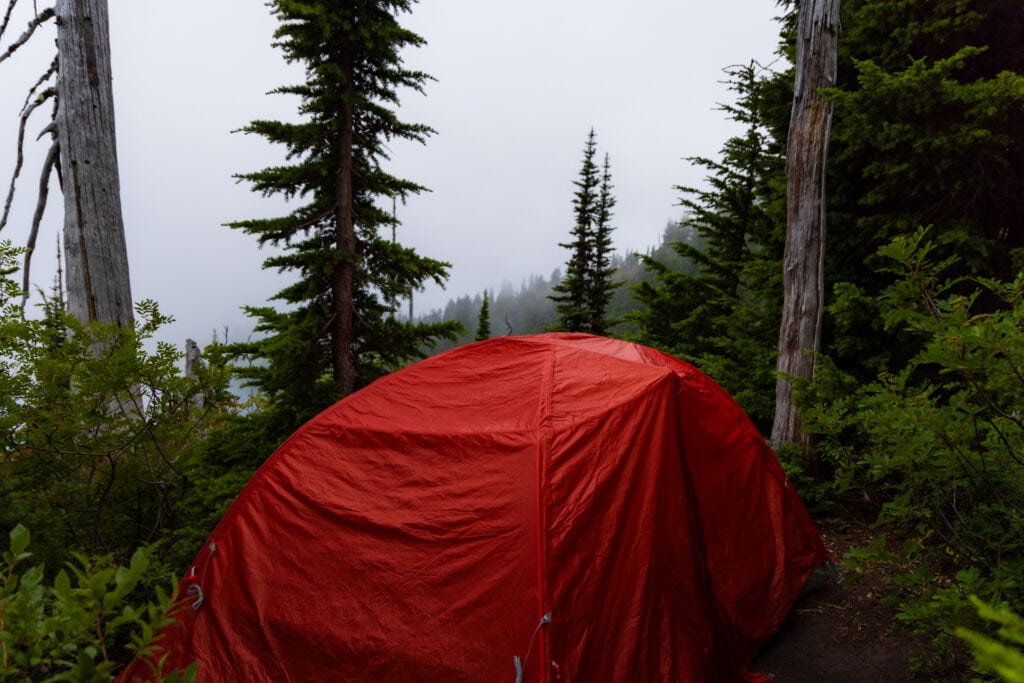 Our tent site in the fog. 