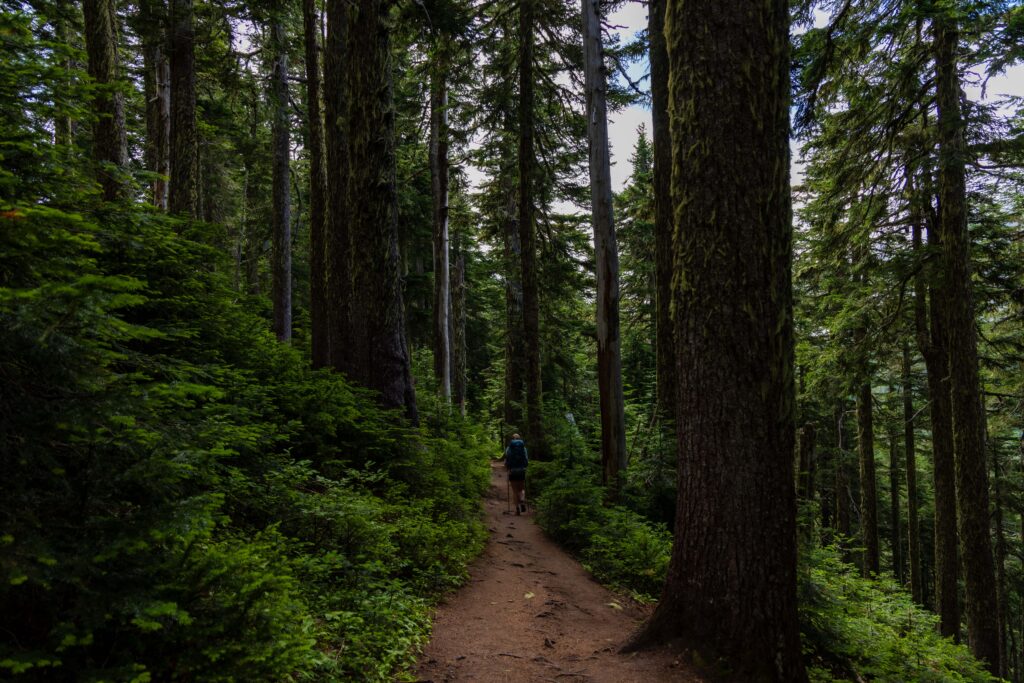 Heading down from Summit Lake. 