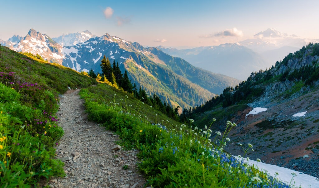 The trail up to Winchester Lookout. 