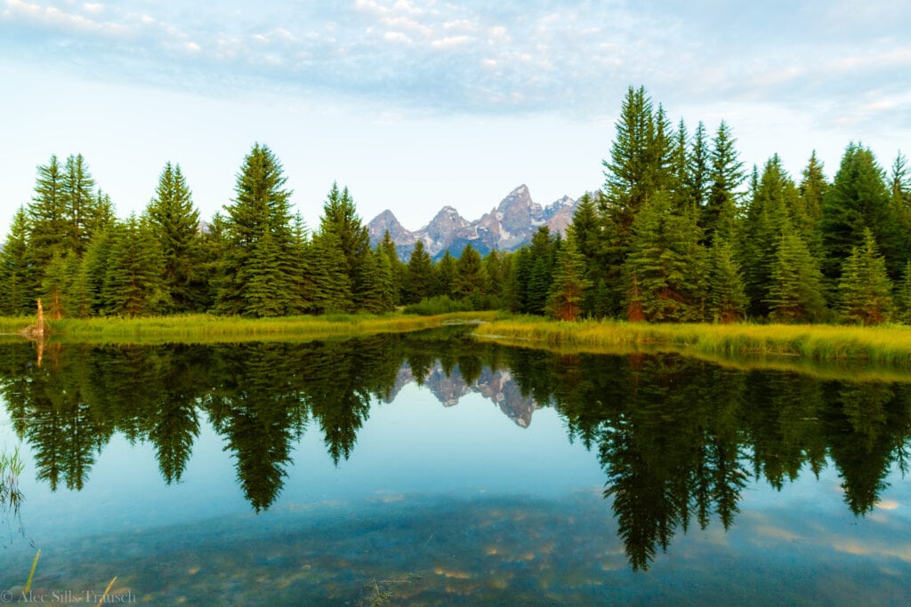 classic schwarbacher landing with a reflection of grand teton and trees in the creek
