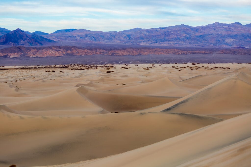 A photo taken from the highest point in the Mesquite sand Dunes looking out at the vastness of sand.