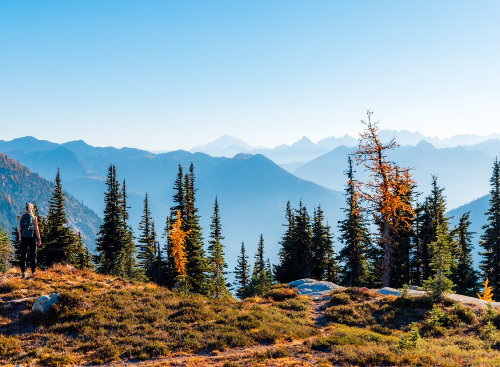 A view of the Washington Cascades from the Maple Pass trail. 