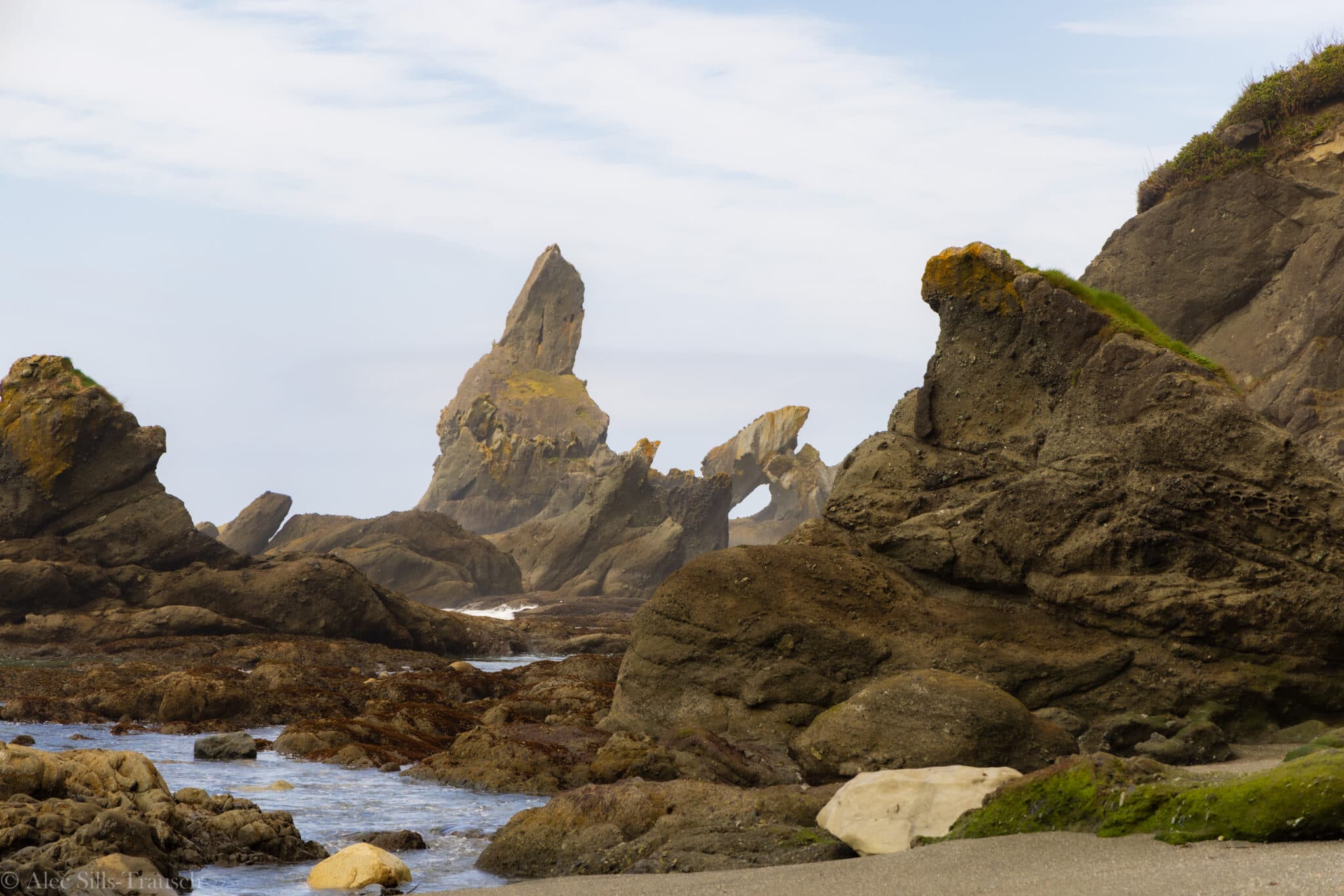 Ultimate Guide to Camping and Hiking at Shi Shi Beach in Olympic
