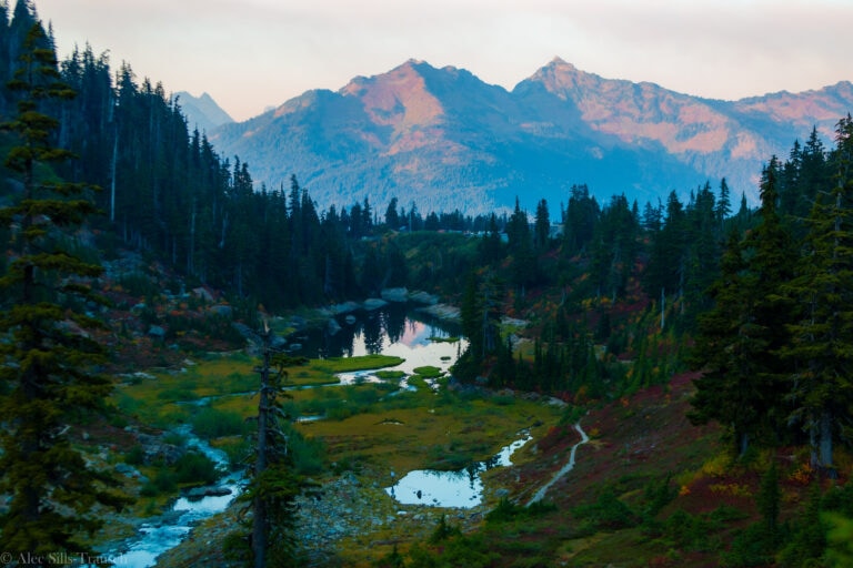 Artist Point Ultimate Guide: Tips for Hiking & Snowshoeing