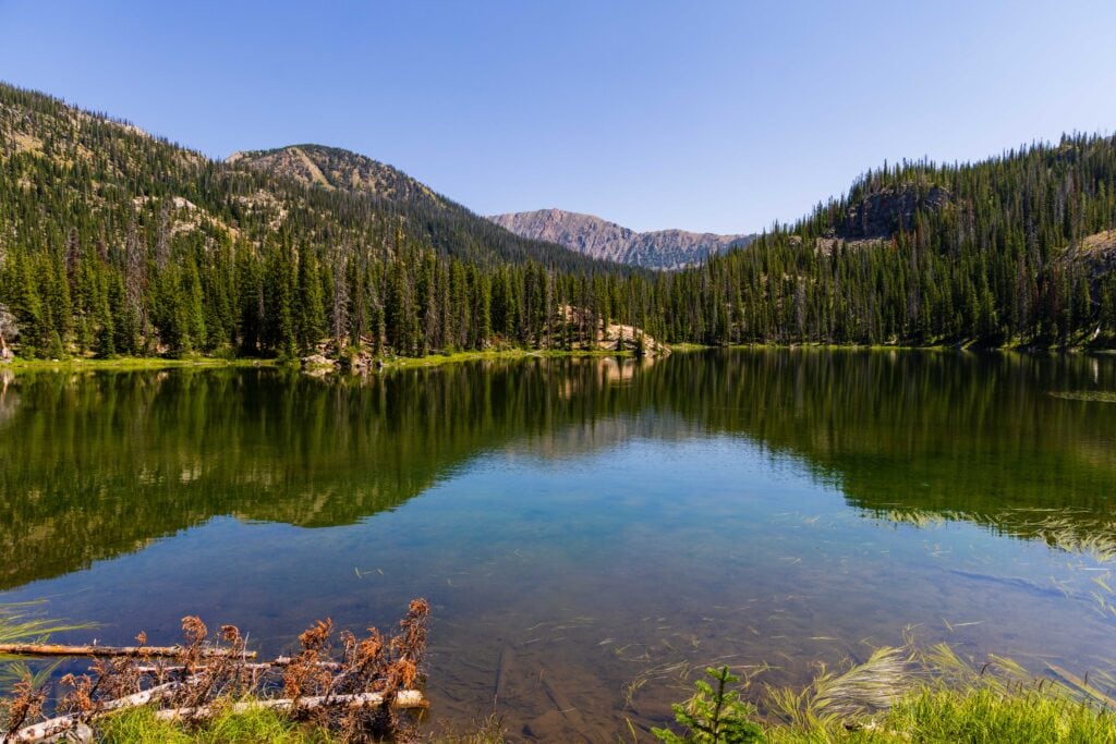 a lake with trees and a reflection in colorado