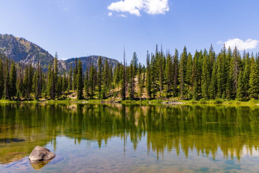 gold creek lake with trees surrounding it and a reflection on the lake's surface.