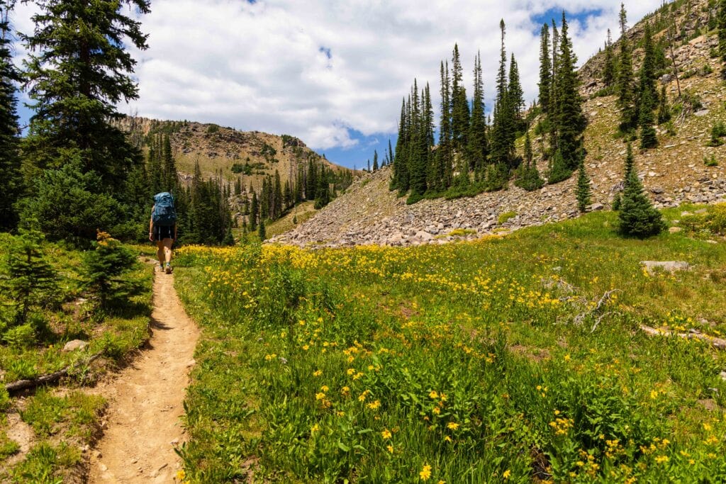 a hiker heading towards gilpin ridge with flowers and bushes on her right
