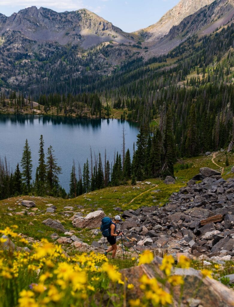 a hiker walks down the trail above gilpin lake with wildflowers in the foreground