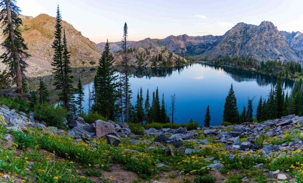 mountains and lakes with green bushes in the foreground