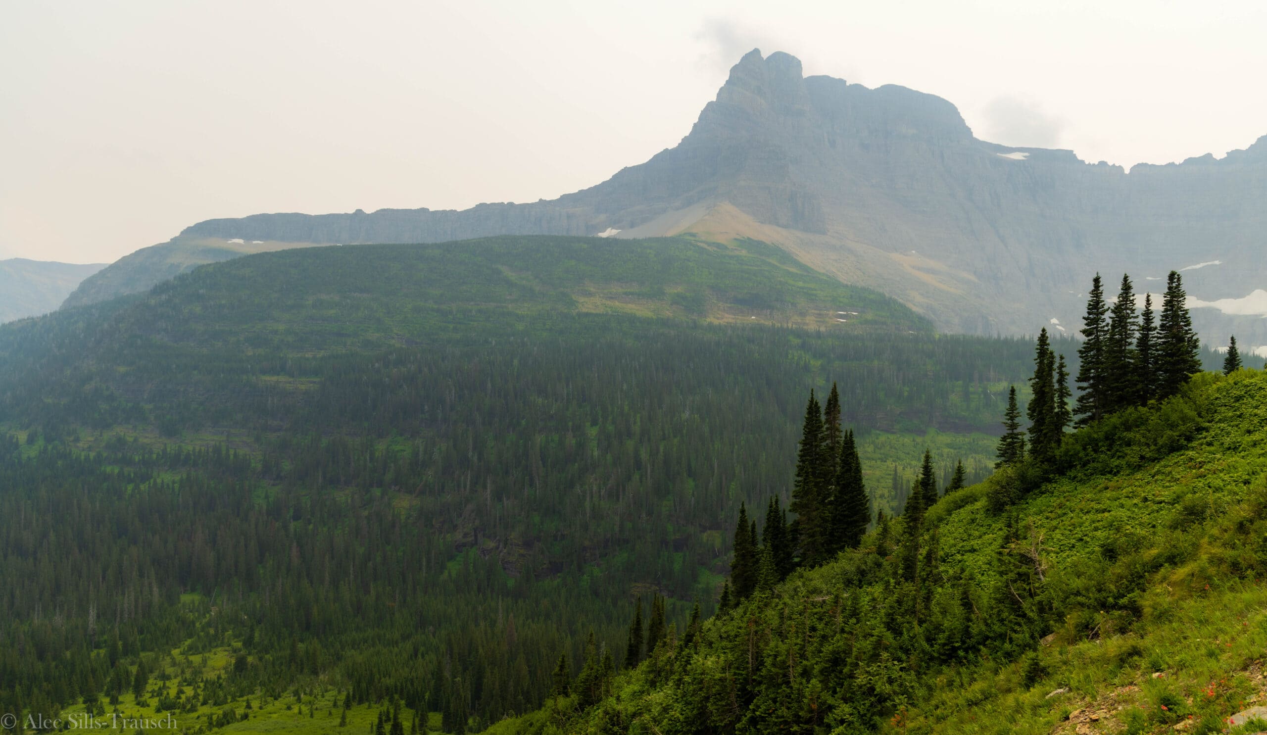 a jagged mountain in the distance with trees in the foreground