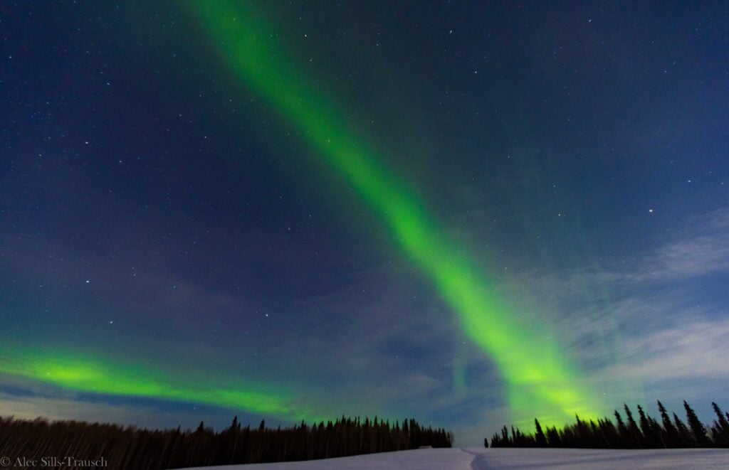 stunning images of the aurora with snow and trees in the foreground.