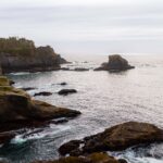 Adventure Guide for the Cape Flattery Trail in Washington