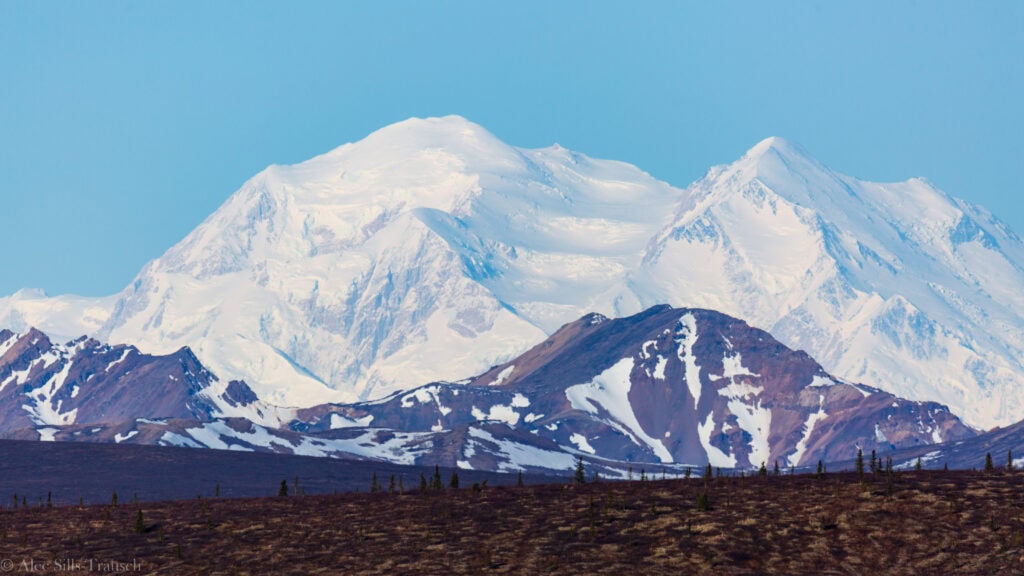 snow capped denali national park with blue skies