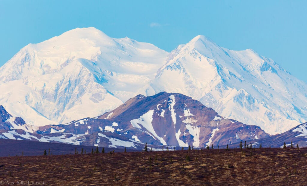 views of snow capped denali national park