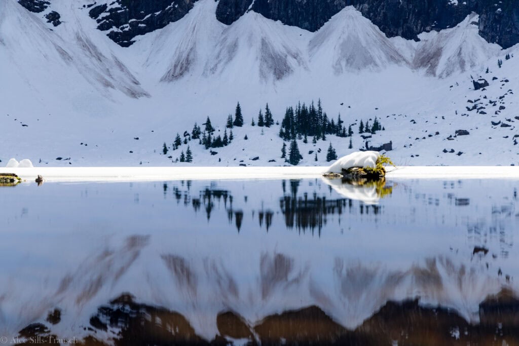 A reflection at lake 22.