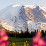 Mount Rainier National Park Itinerary and Guide: How to plan an awesome weekend (or longer)