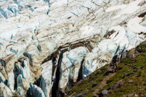 Heliotrope Ridge Trail: One of Washington's Most Underrated Hikes