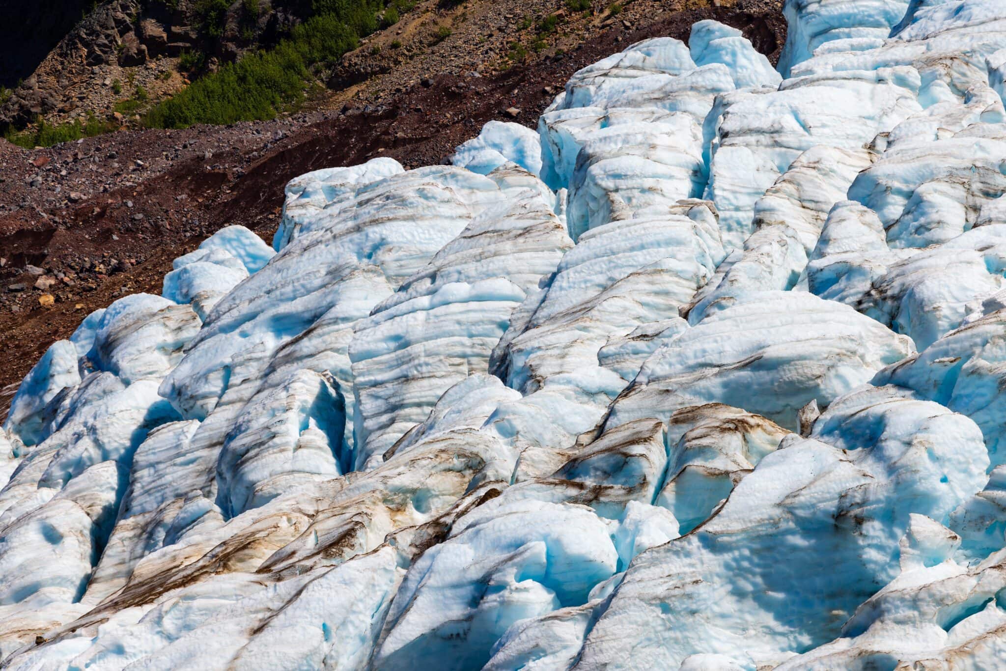 Heliotrope Ridge Trail: One of Washington's Most Underrated Hikes