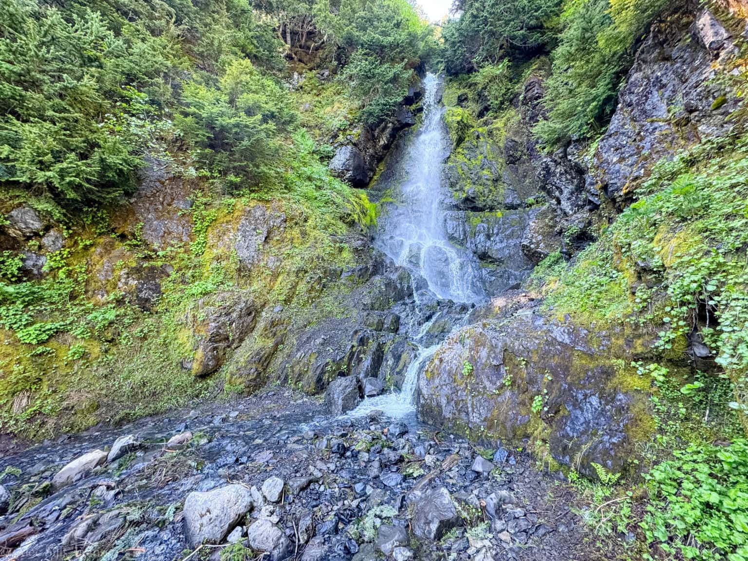 Heliotrope Ridge Trail: One of Washington's Most Underrated Hikes