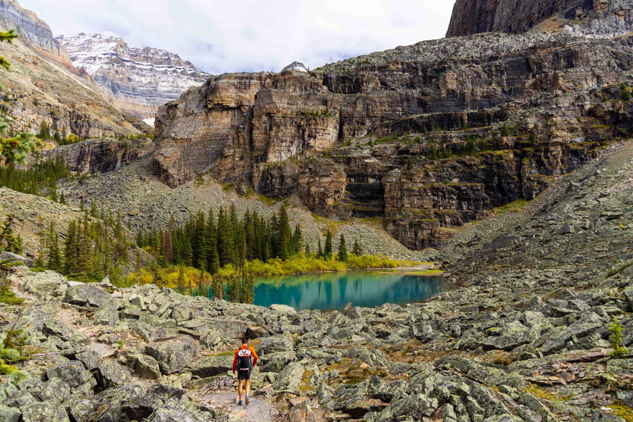 Ultimate Guide to Visiting Lake O'Hara in Yoho National Park